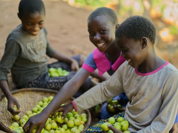Malawi community volunteering and safari vacation