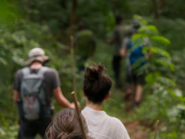 Malawi volunteering and safari vacation