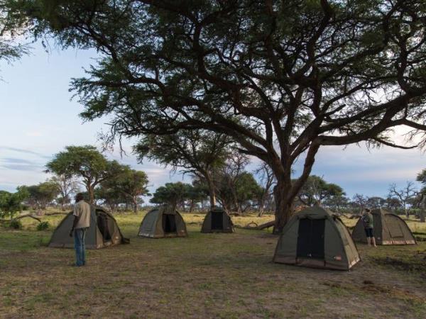 Botswana safari vacation on a shoestring
