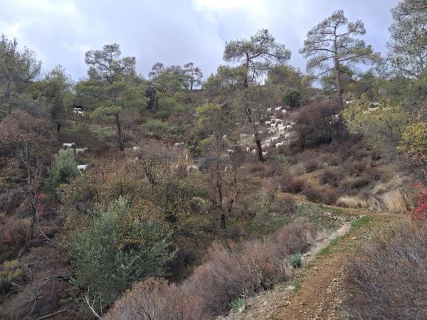 Cyprus trekking vacation