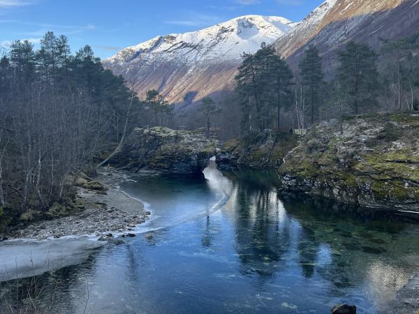Norway yoga and wellness retreats