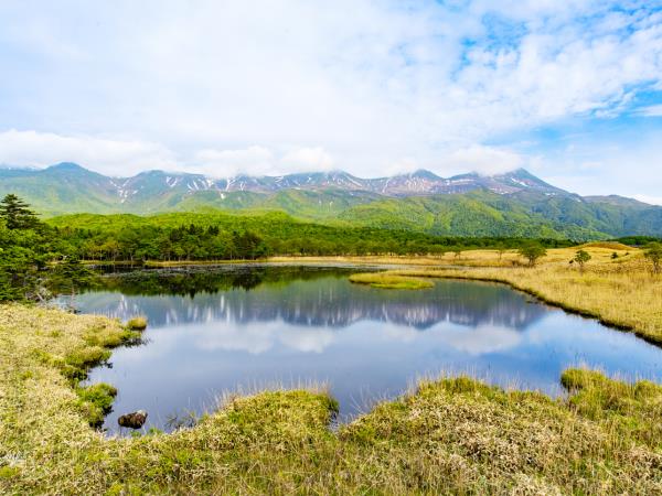 Japan yoga and wellness retreats