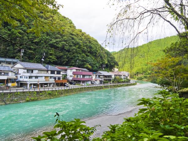 Japan yoga and wellness retreats