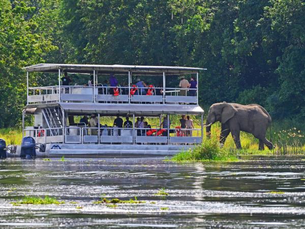 Rhino conservation and safari vacation, Uganda