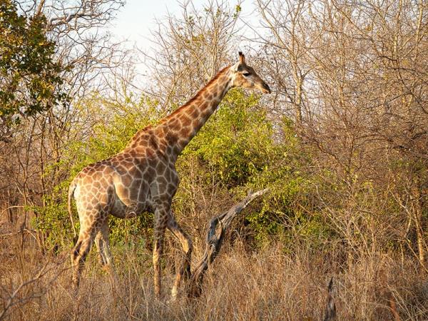 Malawi tailor made holiday