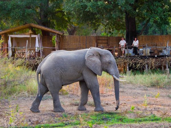 Malawi & Zambia vacation, safari & beach 