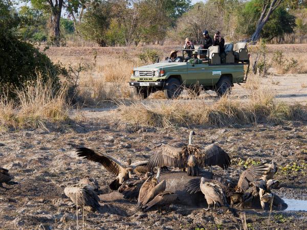 Malawi & Zambia vacation, safari & beach 