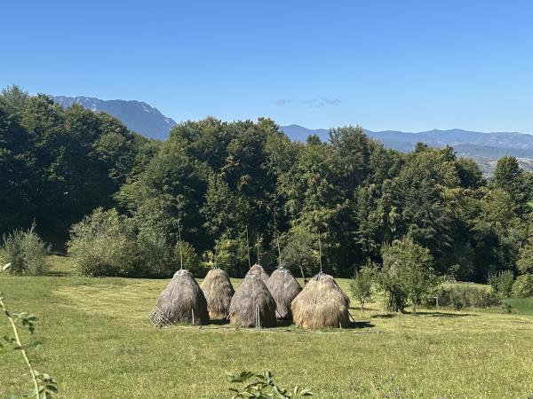 Transylvania short break