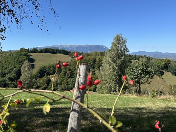 Transylvania short break