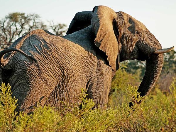 Tanzania fly in safari and beach