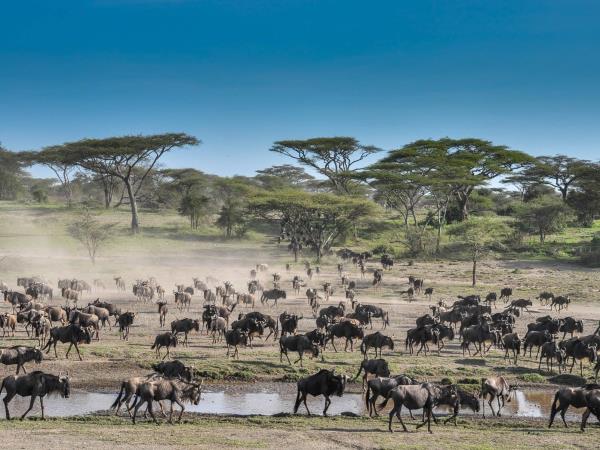 Tanzania fly in safari and beach