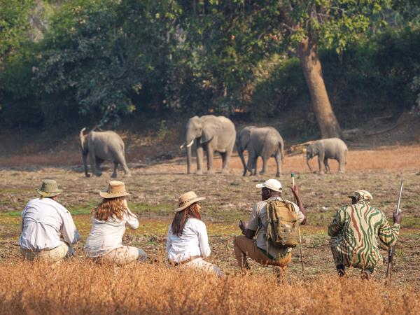 Mobile walking safari in Zambia