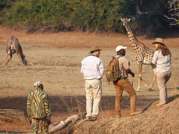Mobile walking safari in Zambia