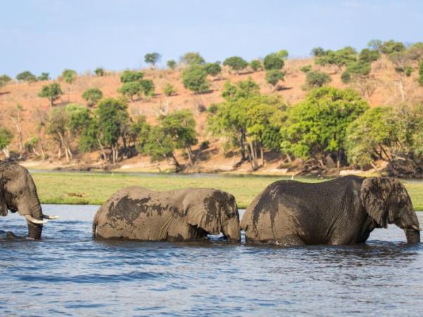 Kenya 9 day Safari, tailor made  