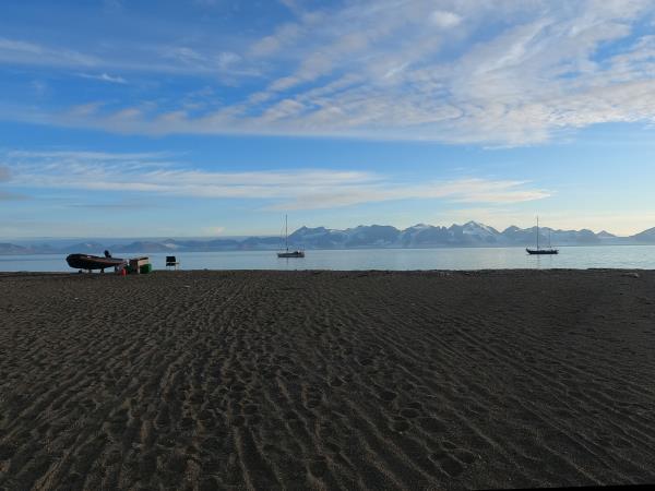 Arctic sailing safari