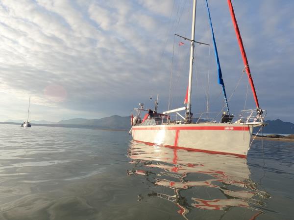 Arctic sailing safari