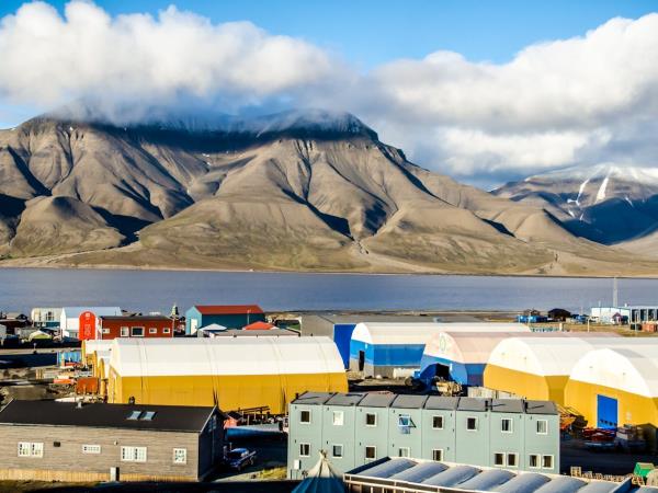 Arctic sailing safari