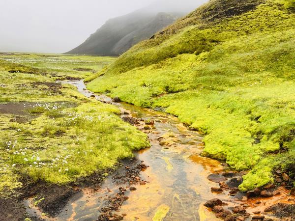 Hiking in Iceland, small group