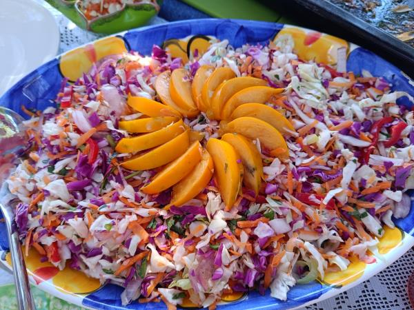 Nutritional food vacation in the Peloponnese
