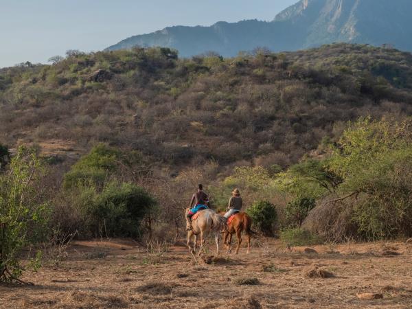 Kenya luxury flying safari vacation
