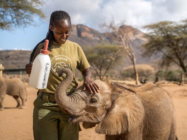 Kenya luxury flying safari vacation