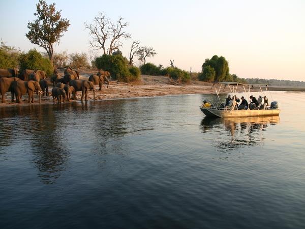 Botswana and Seychelles vacation, safari to beach