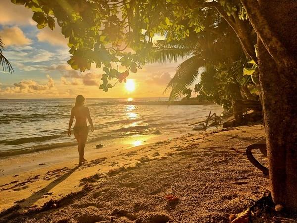 Botswana and Seychelles vacation, safari to beach