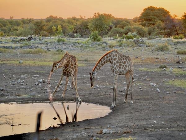 Namibia 3 week self-drive vacation