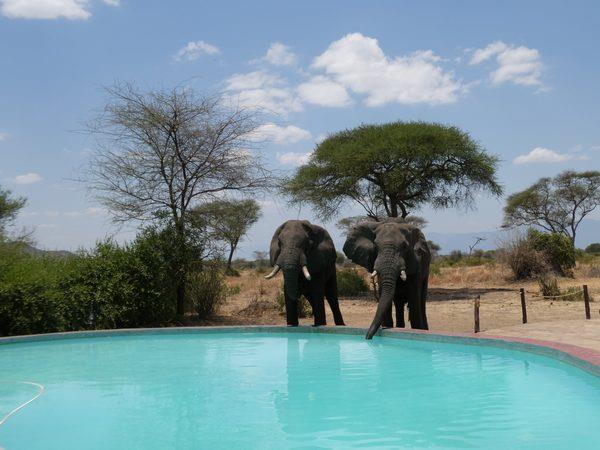Tanzania Serengeti Adventure