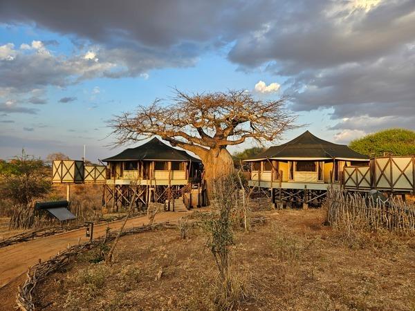 Southern Tanzania safari and Zanzibar vacation