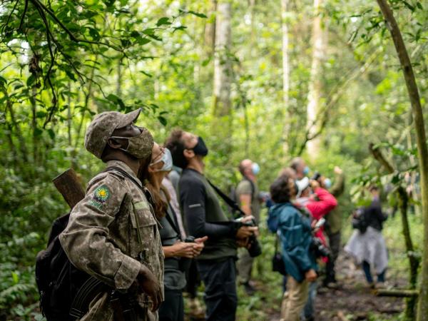 Uganda Gorilla trekking adventure 