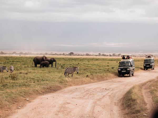 Kenya with kids safari vacation