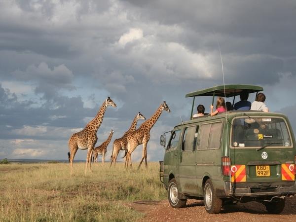 Kenya with kids safari vacation