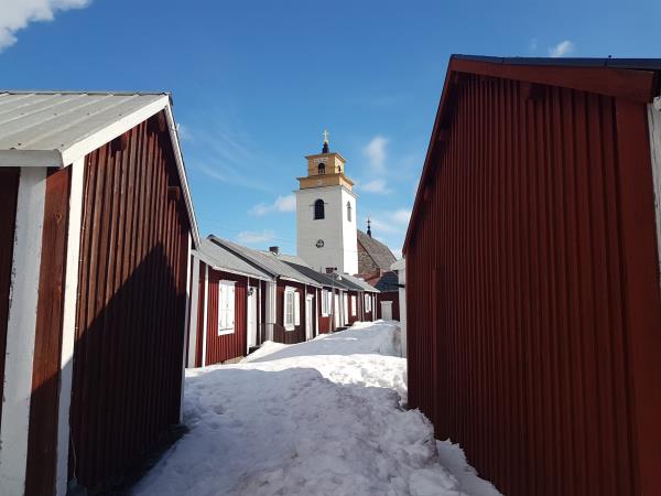Luxury Arctic Lodge vacation