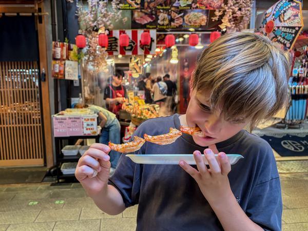 2 week Japan family vacations