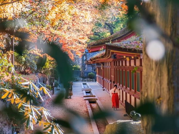 South Korea and Japan luxury vacation