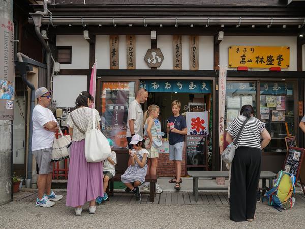 2 week Japan family vacations