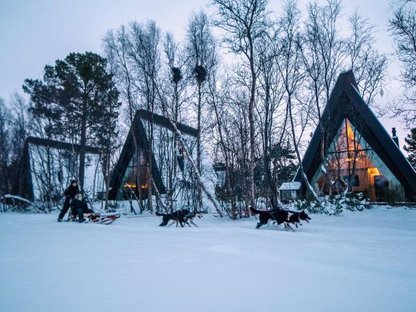 Arctic winter adventure vacation