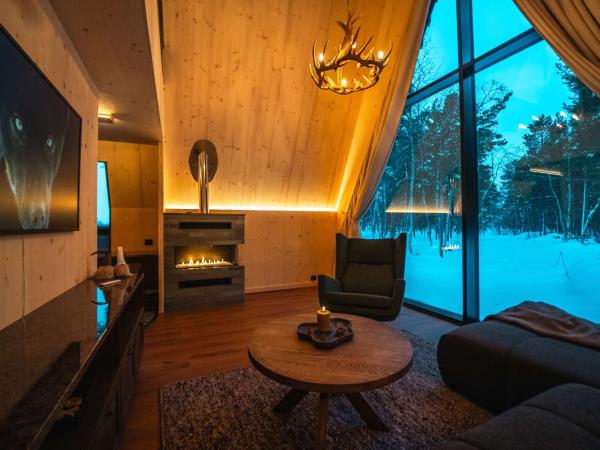 Arctic winter adventure vacation