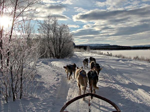 Arctic winter adventure vacation