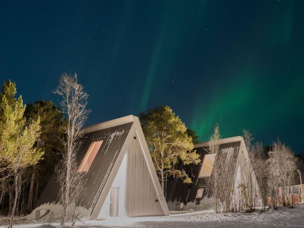 Arctic winter adventure vacation