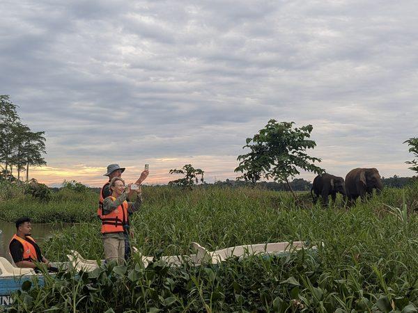 Borneo with teenagers vacation