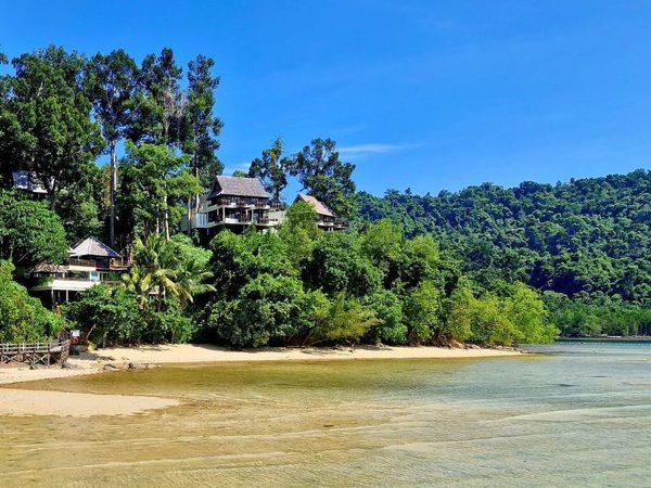 Borneo with teenagers vacation