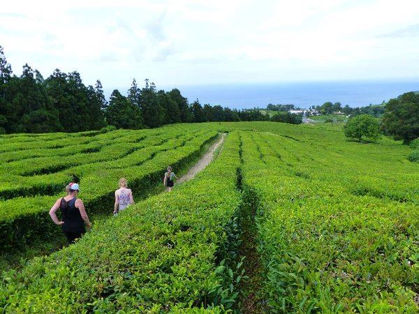 Family adventure in the Azores