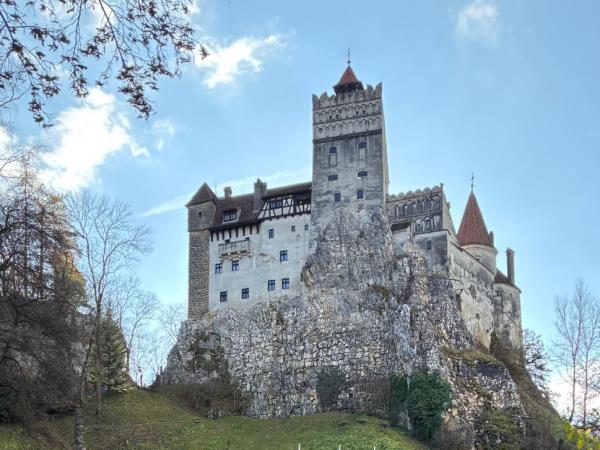 Wolf tracking vacation in Romania