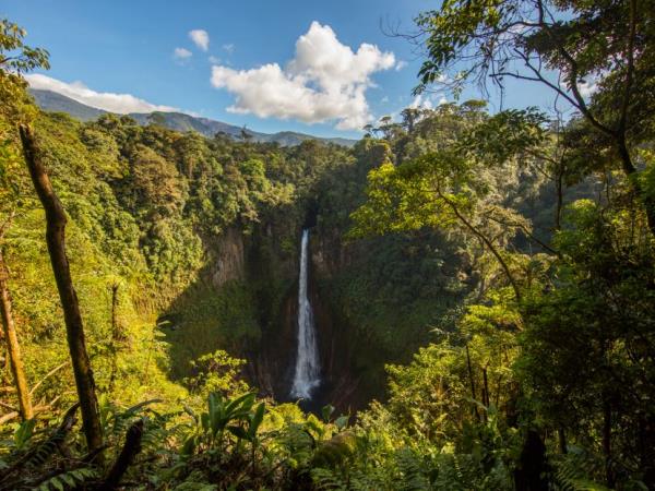 Costa Rica honeymoons