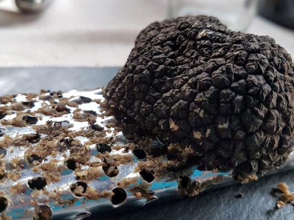 Umbria food and wine tour