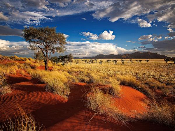Namibia self drive roof top camping tour 