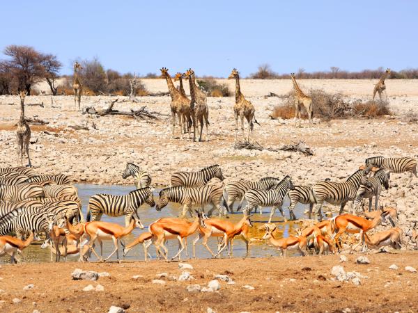 Namibia self drive roof top camping tour 