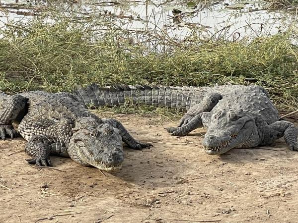 Best of Ghana vacations